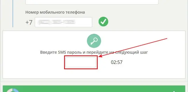 Вид поля для ввода СМС